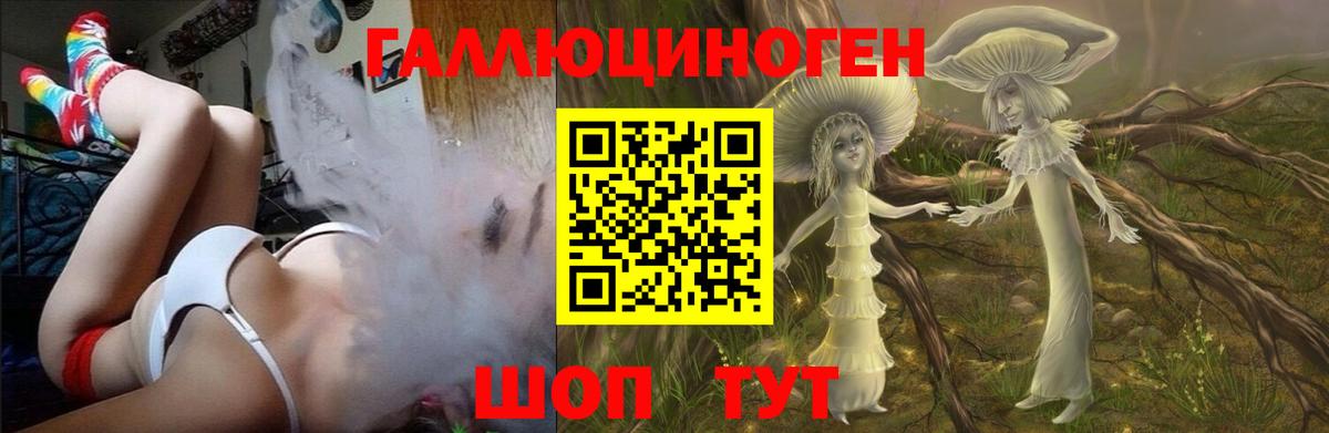 Галлюциногенные грибы Psilocybine cubensis Электросталь